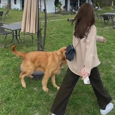 狩龙人拉格纳